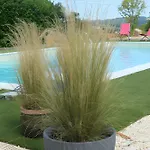 Vakantiehuis Du Pas De La Mignonne *